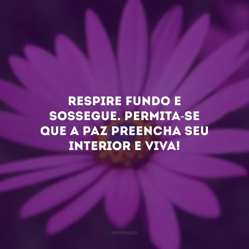 Respire fundo e sossegue. Permita-se que a paz preencha seu interior e viva!