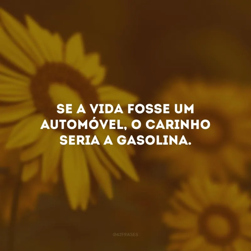 Se a vida fosse um automóvel, o carinho seria a gasolina.