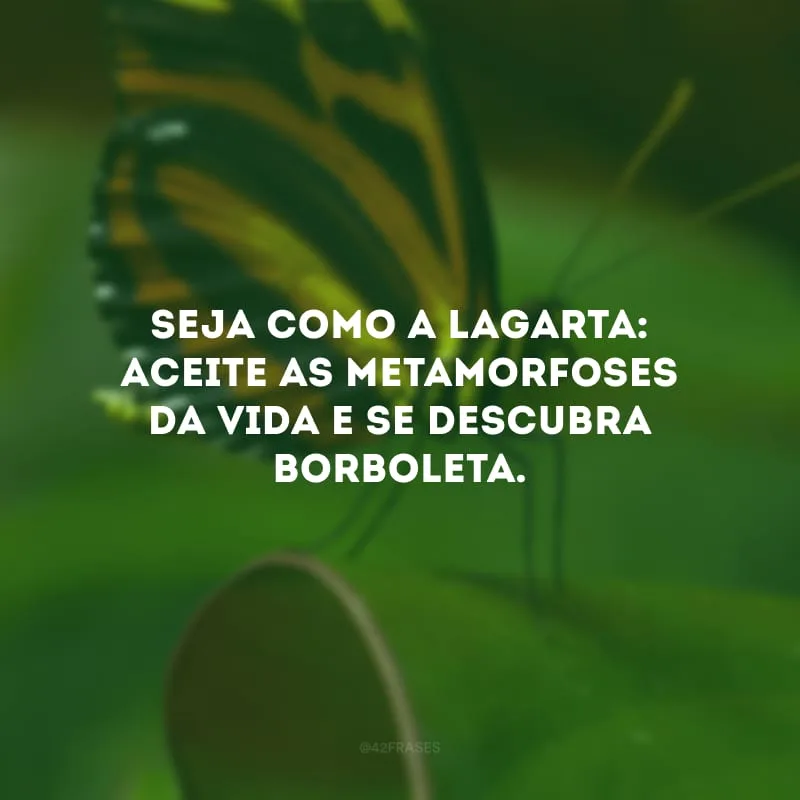 Seja como a lagarta: aceite as metamorfoses da vida e se descubra borboleta.