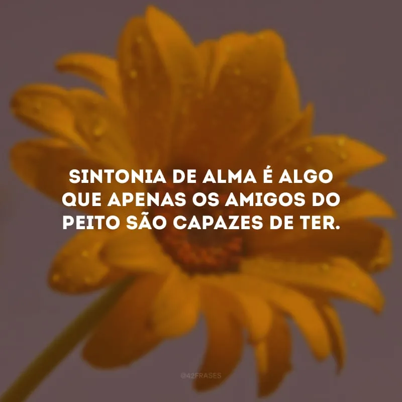 Sintonia de alma é algo que apenas os amigos do peito são capazes de ter. 