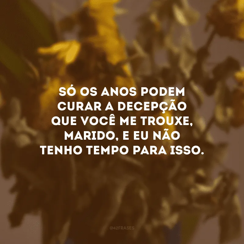 Só os anos podem curar a decepção que você me trouxe, marido, e eu não tenho tempo para isso.
