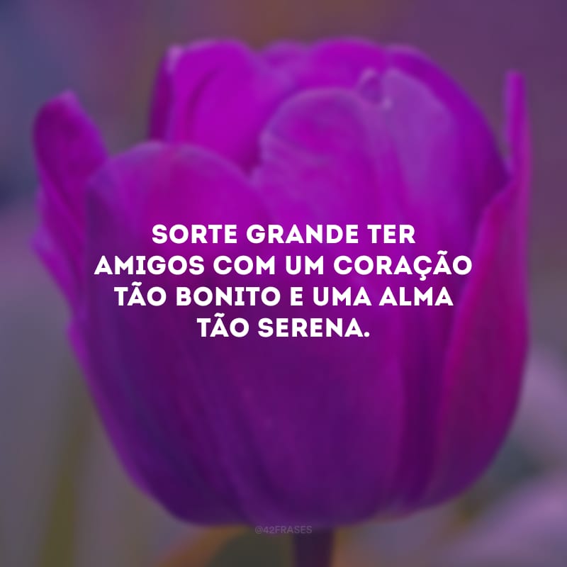 Sorte grande ter amigos com um coração tão bonito e uma alma tão serena. 