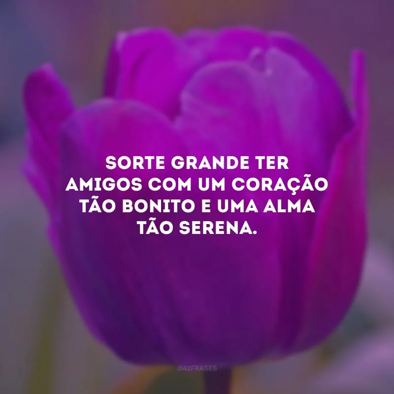 Sorte grande ter amigos com um coração tão bonito e uma alma tão serena. 