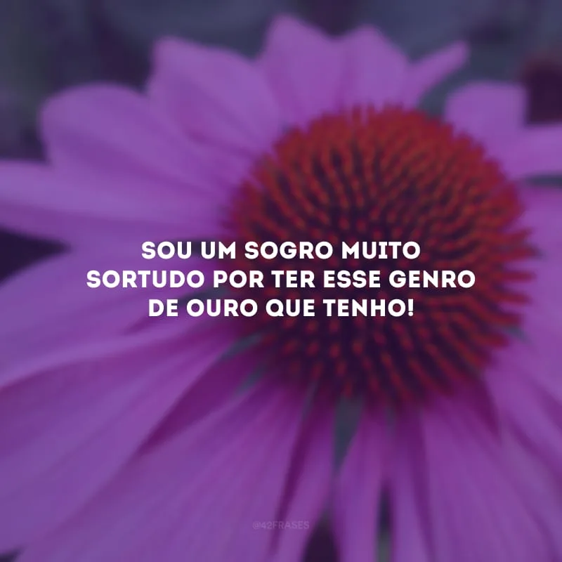 Sou um sogro muito sortudo por ter esse genro de ouro que tenho! 