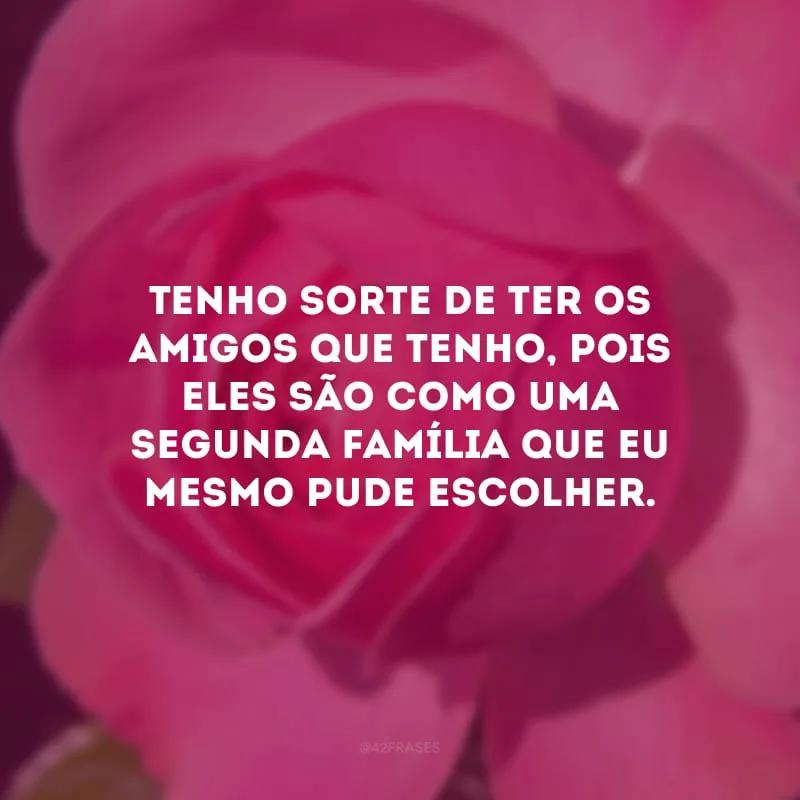 Tenho sorte de ter os amigos que tenho, pois eles são como uma segunda família que eu mesmo pude escolher. 