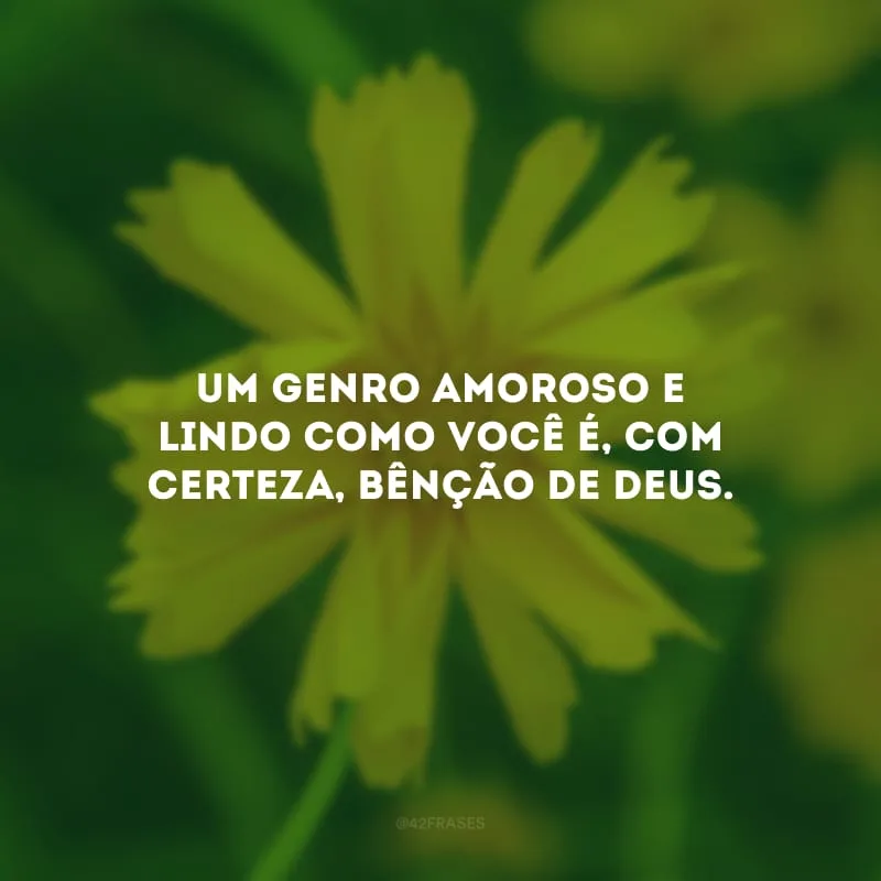 Um genro amoroso e lindo como você é, com certeza, bênção de Deus. 