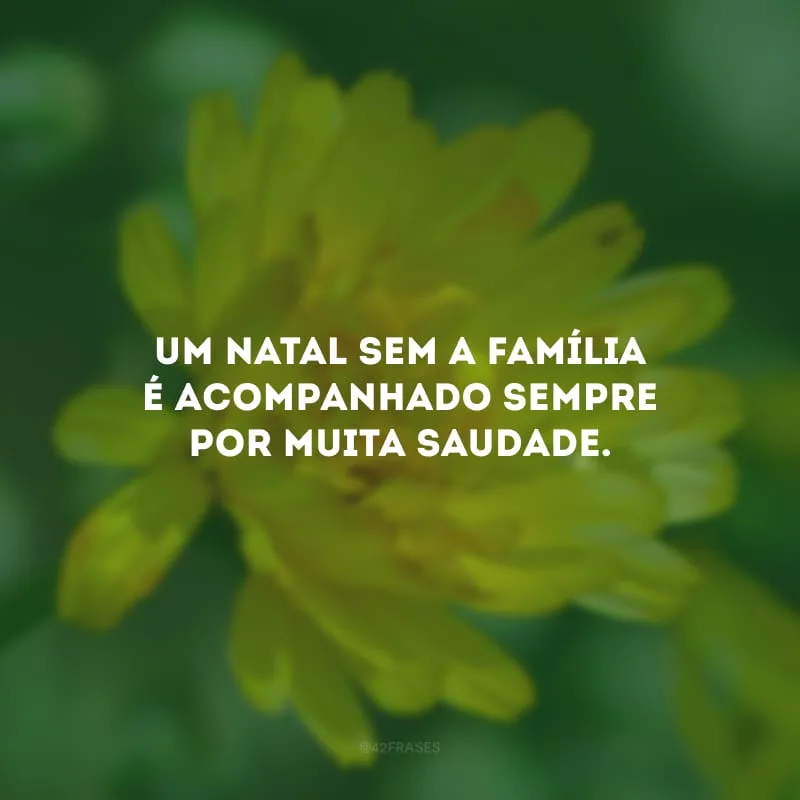 Um Natal sem a família é acompanhado sempre por muita saudade.