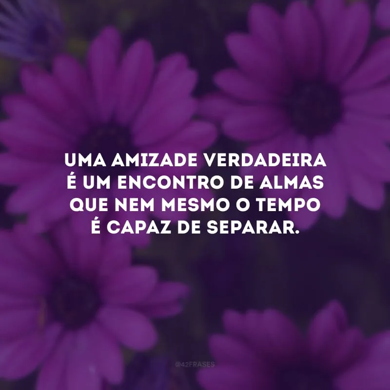 Uma amizade verdadeira é um encontro de almas que nem mesmo o tempo é capaz de separar. 