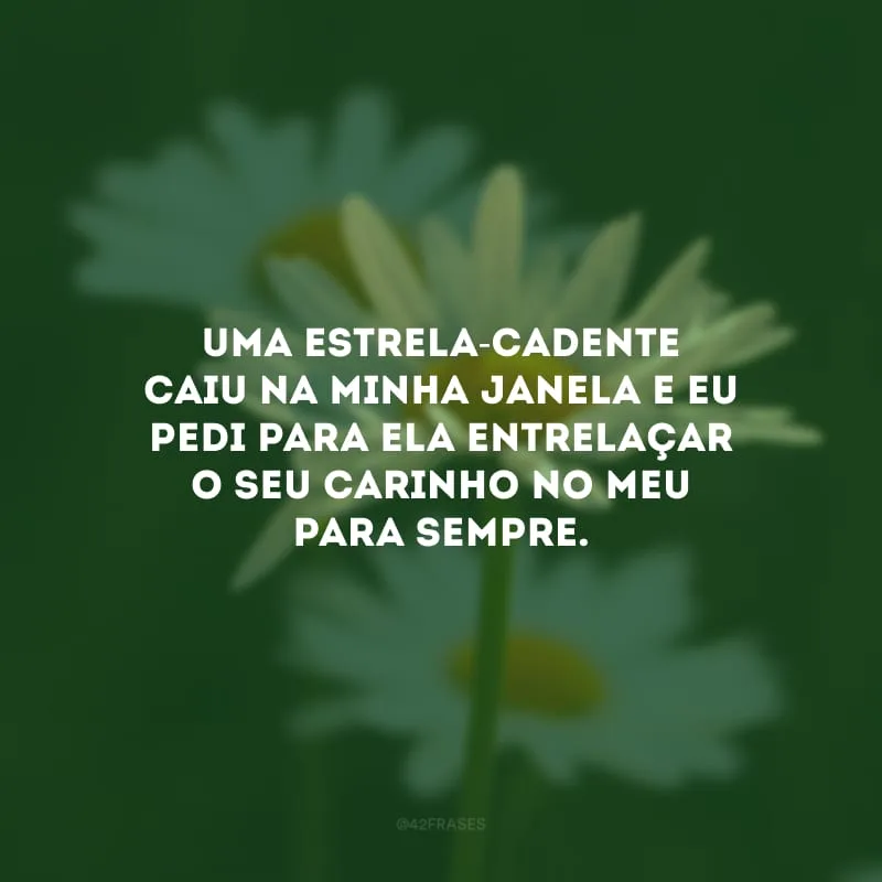 Uma estrela-cadente caiu na minha janela e eu pedi para ela entrelaçar o seu carinho no meu para sempre.
