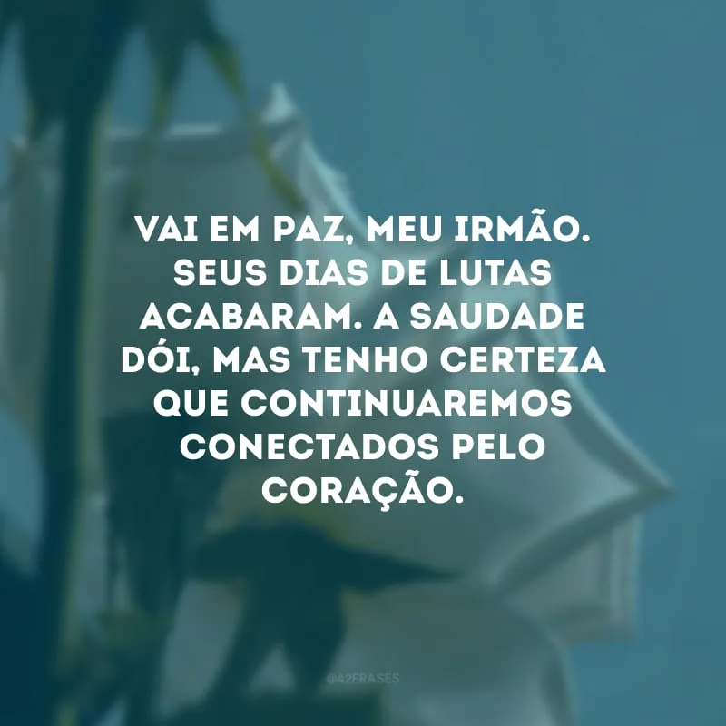 Vai em paz, meu irmão. Seus dias de lutas acabaram. A saudade dói, mas tenho certeza que continuaremos conectados pelo coração.