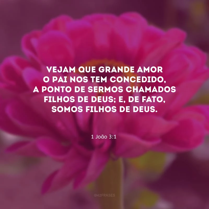 Vejam que grande amor o Pai nos tem concedido, a ponto de sermos chamados filhos de Deus; e, de fato, somos filhos de Deus.