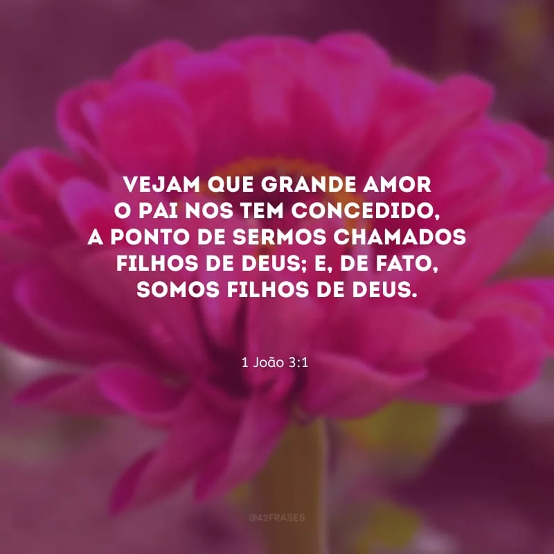 Vejam que grande amor o Pai nos tem concedido, a ponto de sermos chamados filhos de Deus; e, de fato, somos filhos de Deus.