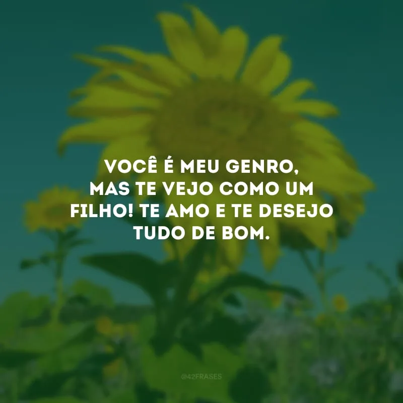 Você é meu genro, mas te vejo como um filho! Te amo e te desejo tudo de bom. 