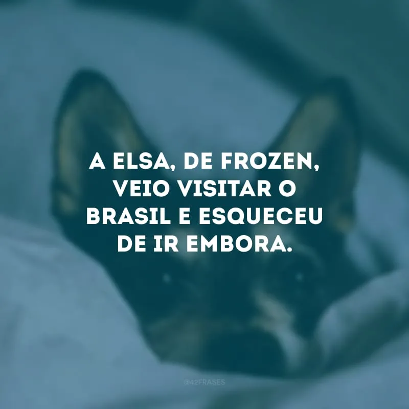A Elsa, de Frozen, veio visitar o Brasil e esqueceu de ir embora.