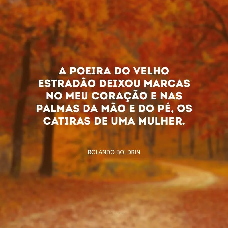 A poeira do velho estradão deixou marcas no meu coração e nas palmas da mão e do pé, os catiras de uma mulher.