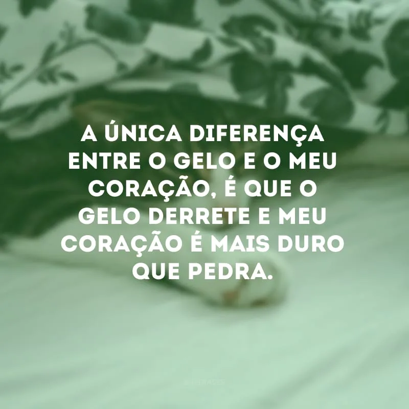 A única diferença entre o gelo e o meu coração, é que o gelo derrete e meu coração é mais duro que pedra.