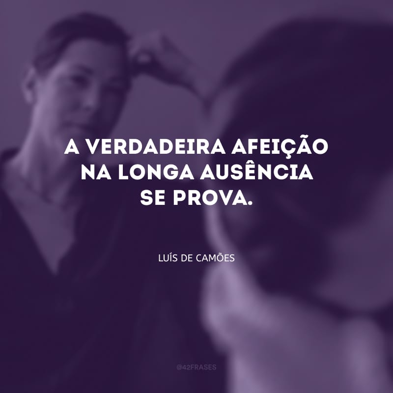 A verdadeira afeição na longa ausência se prova.