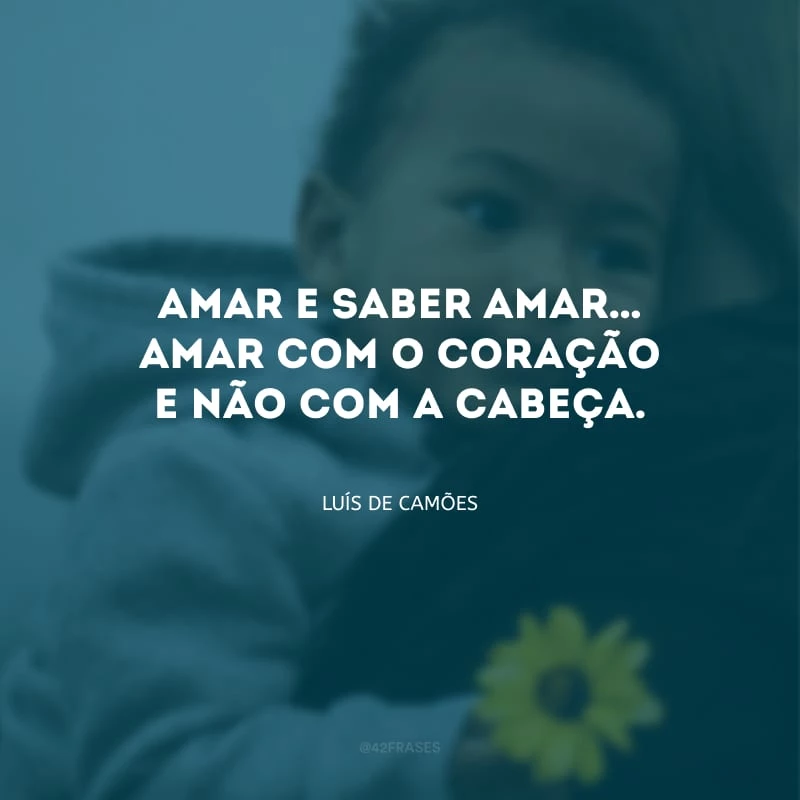 Amar e saber amar… Amar com o coração e não com a cabeça.