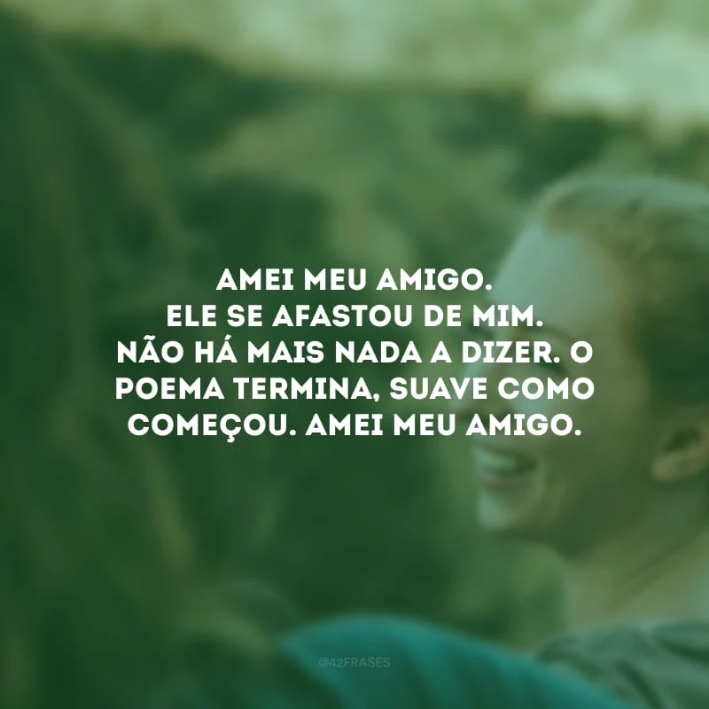 Amei meu amigo. Ele se afastou de mim. Não há mais nada a dizer. O poema termina, suave como começou. Amei meu amigo.