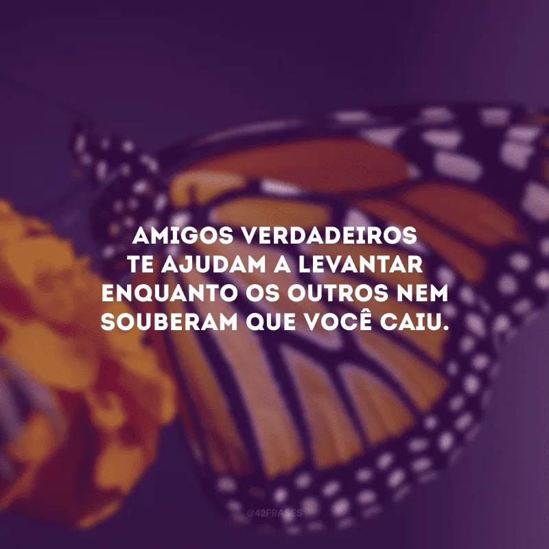 Amigos verdadeiros te ajudam a levantar enquanto os outros nem souberam que você caiu.