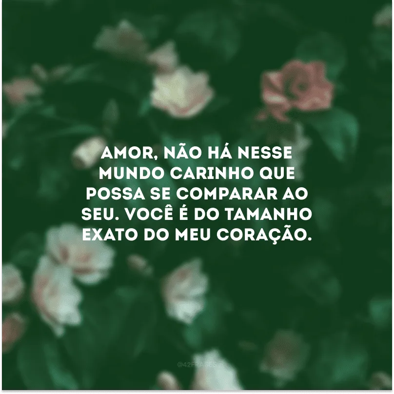Amor, não há nesse mundo carinho que possa se comparar ao seu. Você é do tamanho exato do meu coração.