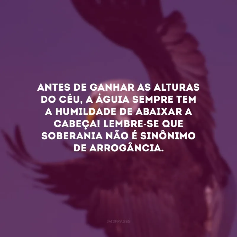 Antes de ganhar as alturas do céu, a águia sempre tem a humildade de abaixar a cabeça! Lembre-se que soberania não é sinônimo de arrogância.