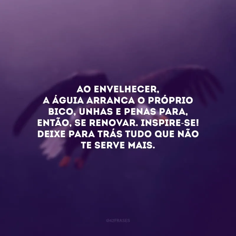 Ao envelhecer, a águia arranca o próprio bico, unhas e penas para, então, se renovar. Inspire-se! Deixe para trás tudo que não te serve mais.