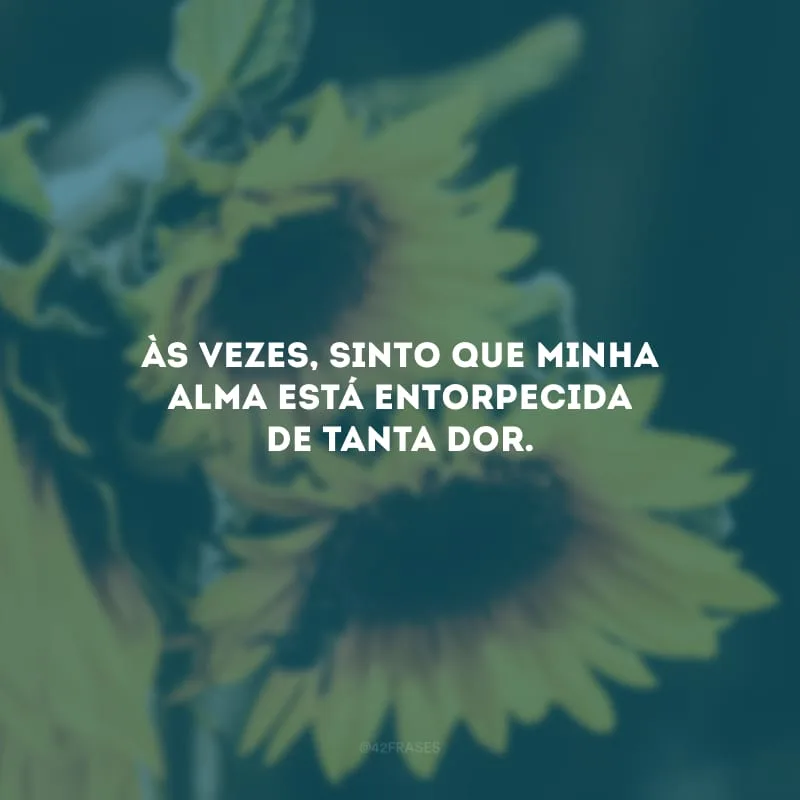 Às vezes, sinto que minha alma está entorpecida de tanta dor.