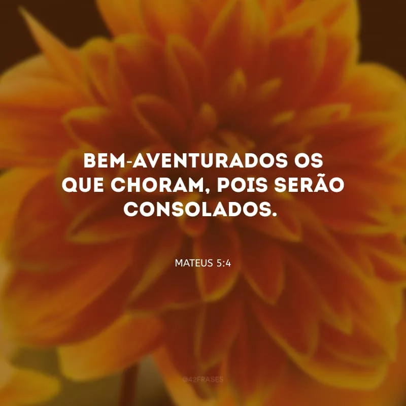 Bem-aventurados os que choram, pois serão consolados.

