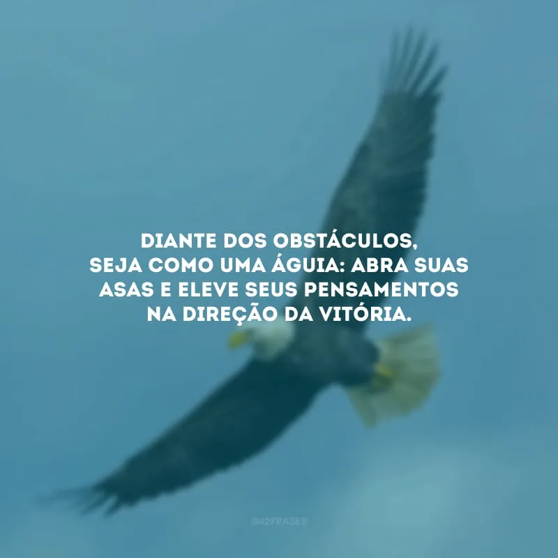 Diante dos obstáculos, seja como uma águia: abra suas asas e eleve seus pensamentos na direção da vitória.