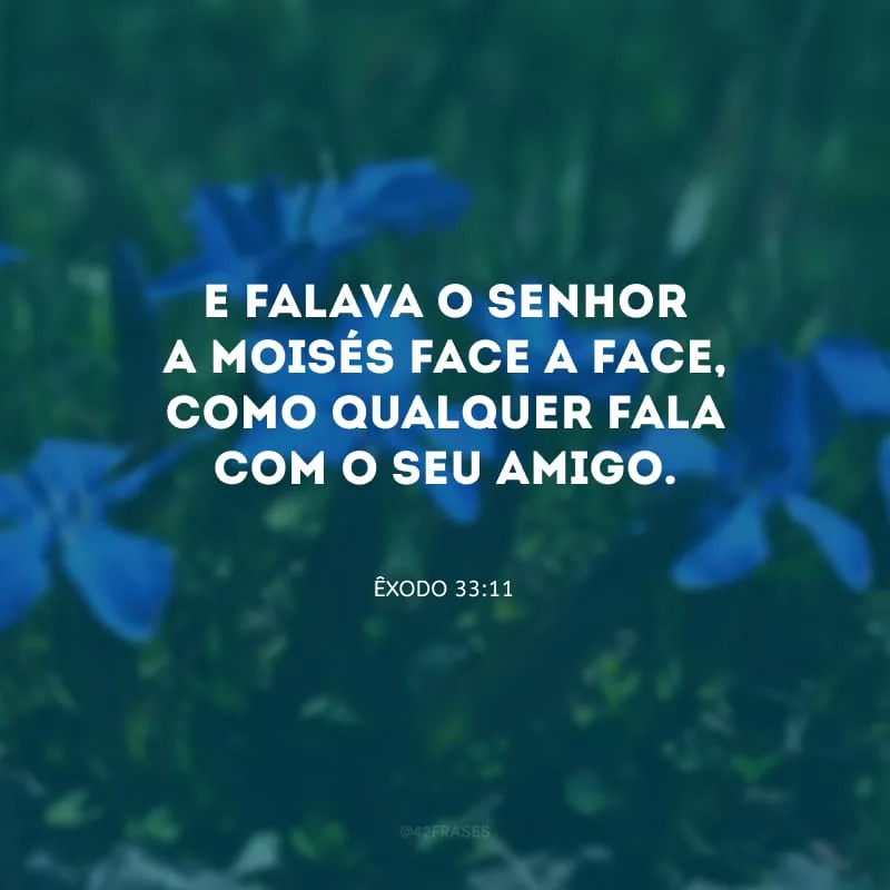 E falava o Senhor a Moisés face a face, como qualquer fala com o seu amigo.
