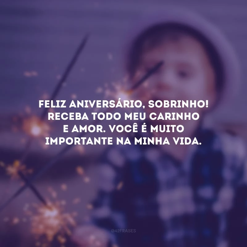Feliz aniversário, sobrinho! Receba todo meu carinho e amor. Você é muito importante na minha vida.