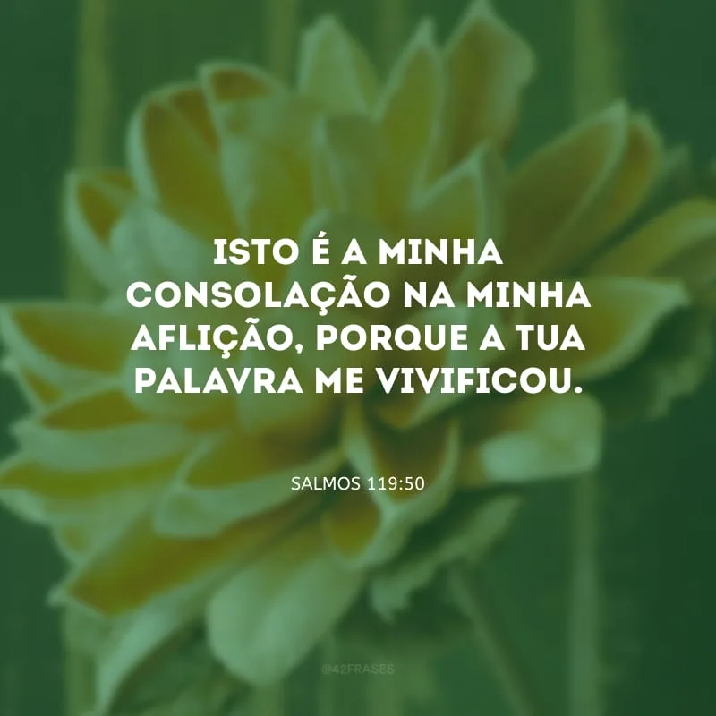 Isto é a minha consolação na minha aflição, porque a Tua palavra me vivificou.

