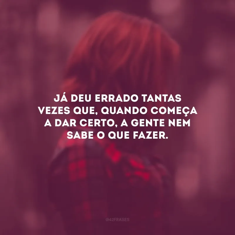 Já deu errado tantas vezes que, quando começa a dar certo, a gente nem sabe o que fazer. 