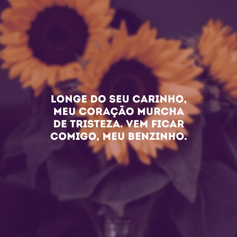 Longe do seu carinho, meu coração murcha de tristeza. Vem ficar comigo, meu benzinho.
