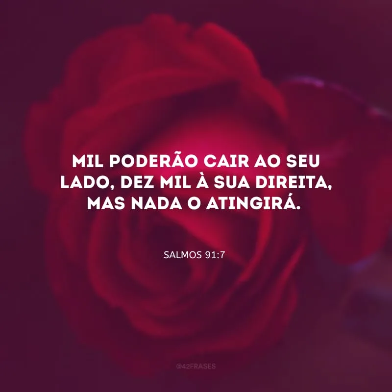 Mil poderão cair ao seu lado, dez mil à sua direita, mas nada o atingirá.

