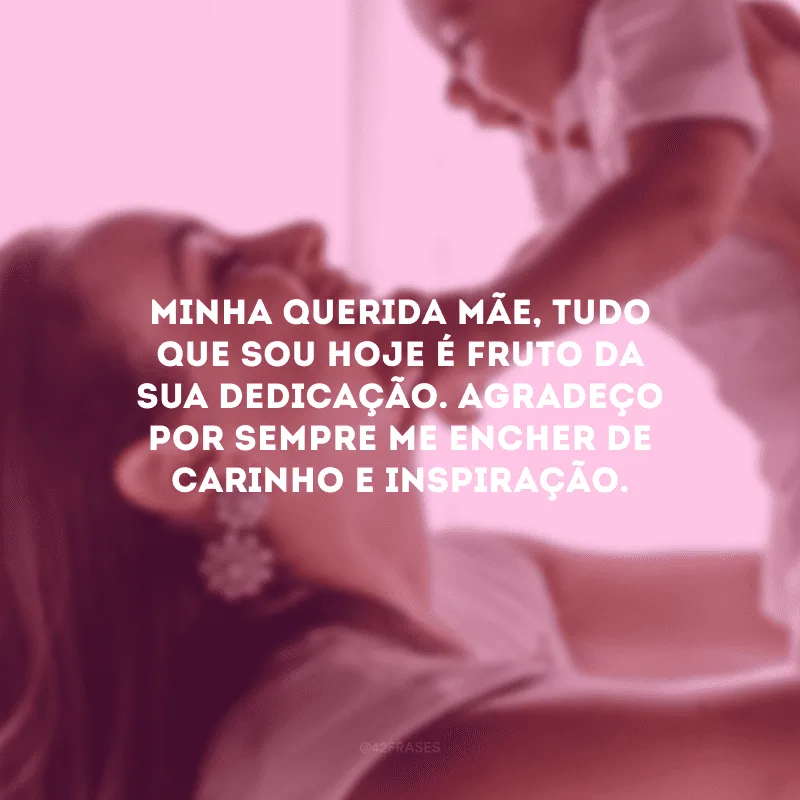 Minha querida mãe, tudo que sou hoje é fruto da sua dedicação. Agradeço por sempre me encher de carinho e inspiração.