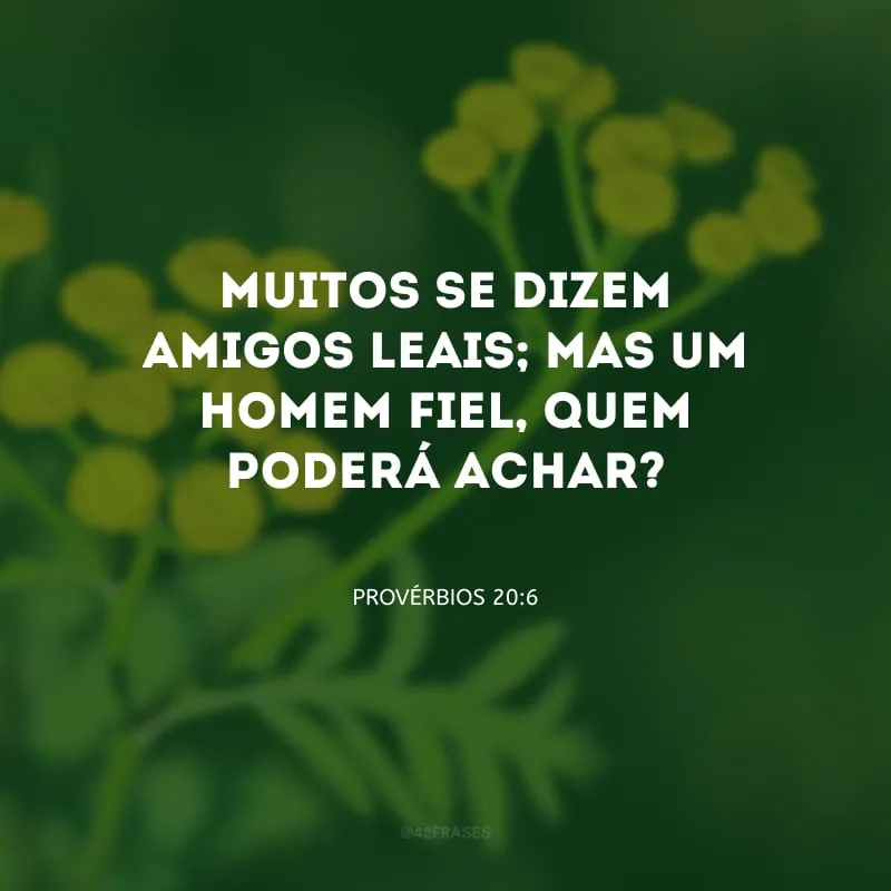 Muitos se dizem amigos leais; mas um homem fiel, quem poderá achar? 
