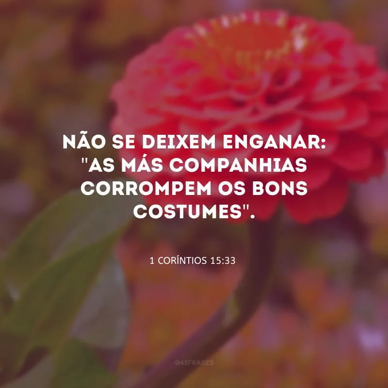 Não se deixem enganar: \"as más companhias corrompem os bons costumes\".