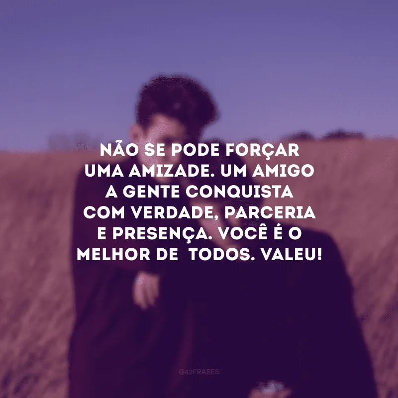 Não se pode forçar uma amizade. Um amigo a gente conquista com verdade, parceria e presença. Você é o melhor de  todos. Valeu!
