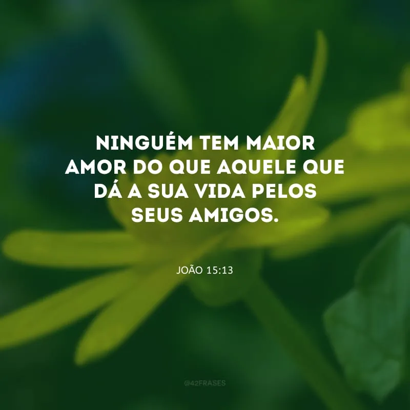 Ninguém tem maior amor do que aquele que dá a sua vida pelos seus amigos.
