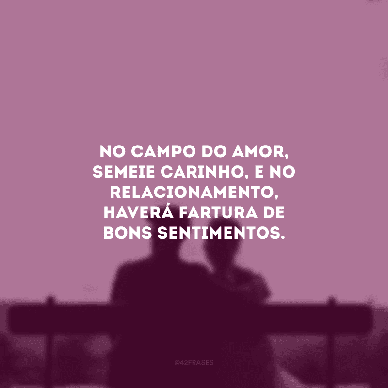 No campo do amor, semeie carinho, e no relacionamento, haverá fartura de bons sentimentos.