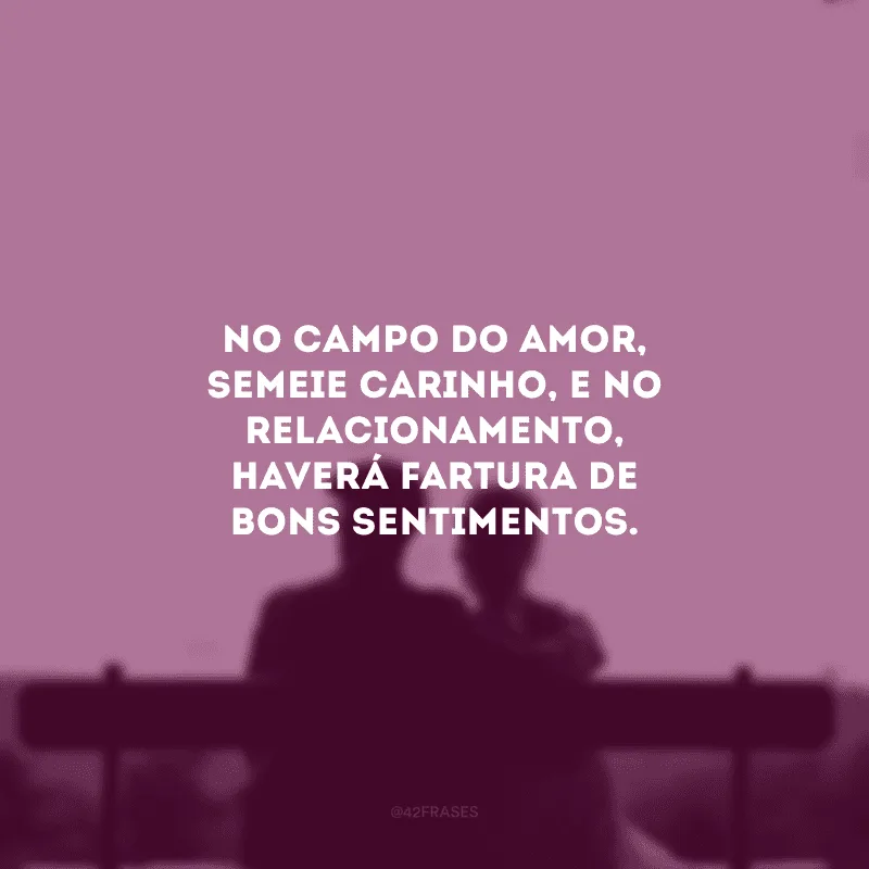 No campo do amor, semeie carinho, e no relacionamento, haverá fartura de bons sentimentos.
