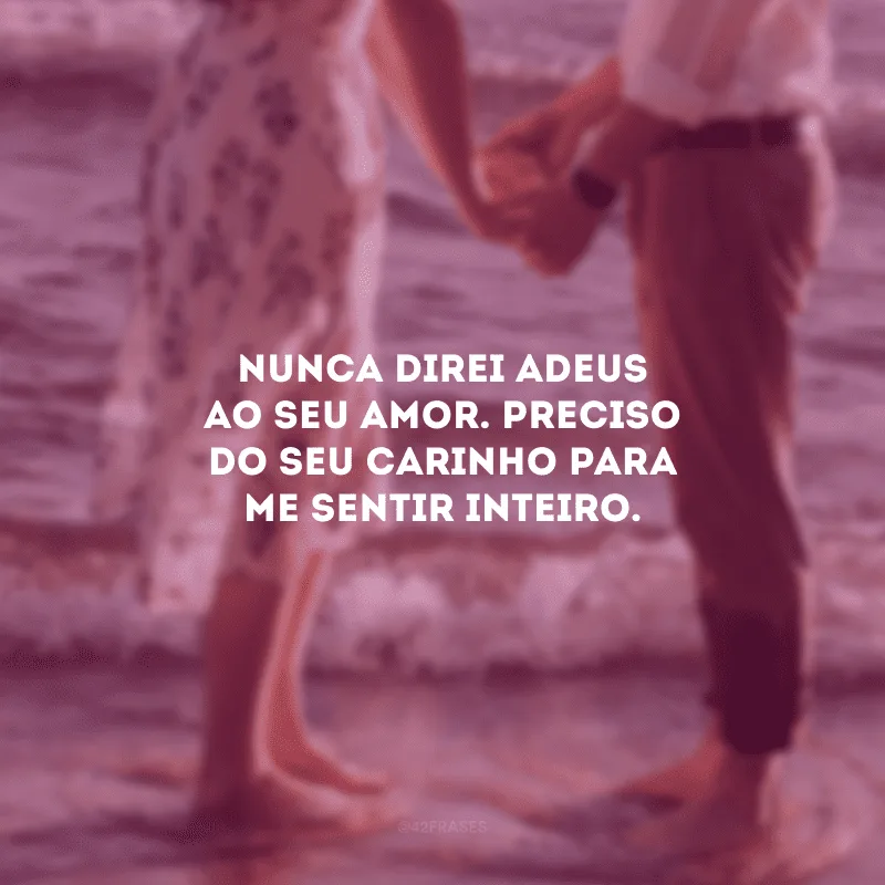 Nunca direi adeus ao seu amor. Preciso do seu carinho para me sentir inteiro.