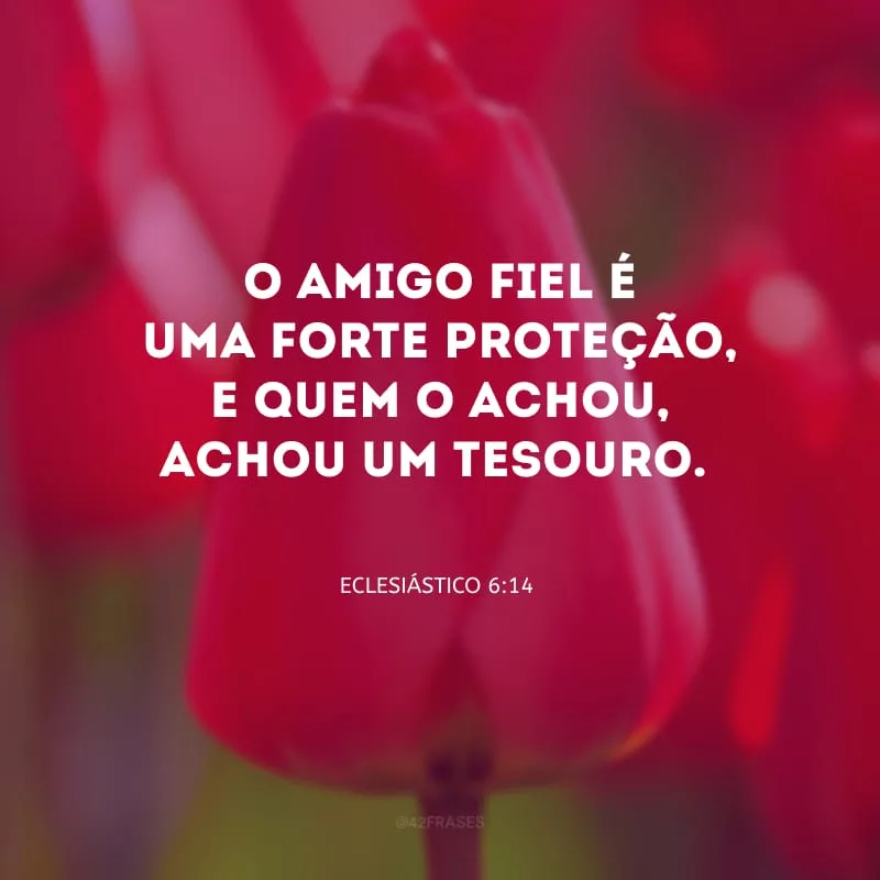O amigo fiel é uma forte proteção, e quem o achou, achou um tesouro.

