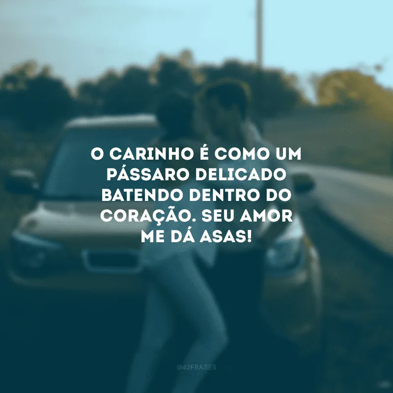 O carinho é como um pássaro delicado batendo dentro do coração. Seu amor me dá asas!