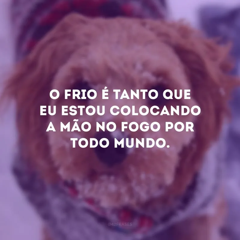 O frio é tanto que eu estou colocando a mão no fogo por todo mundo.