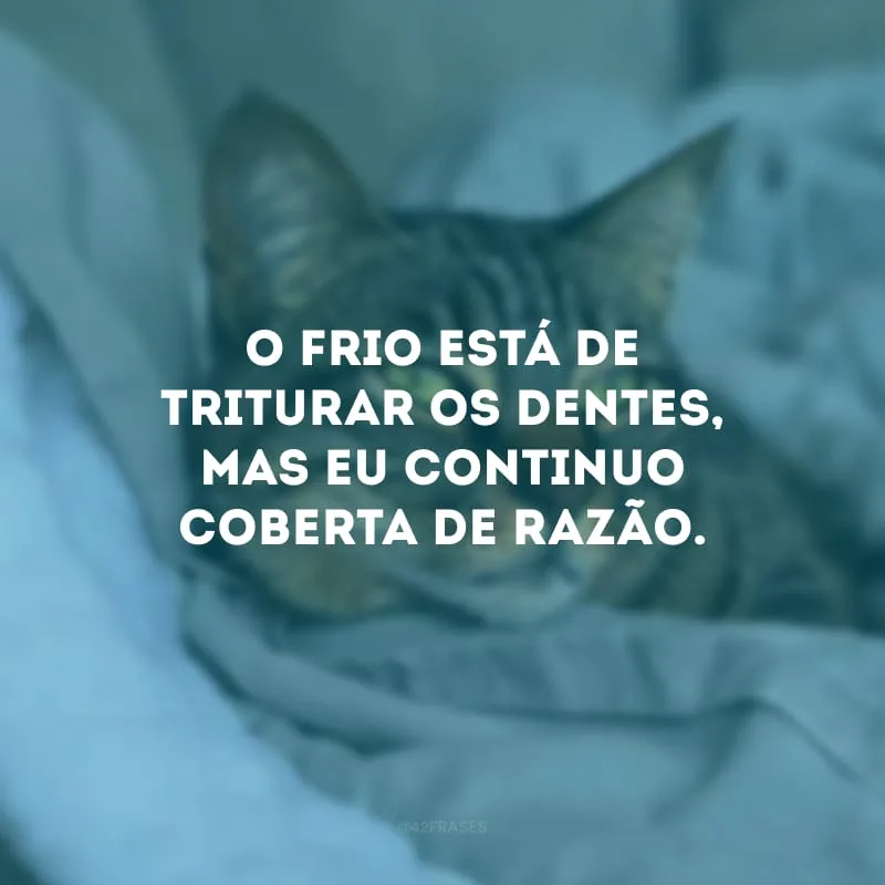 O frio está de triturar os dentes, mas eu continuo coberta de razão.