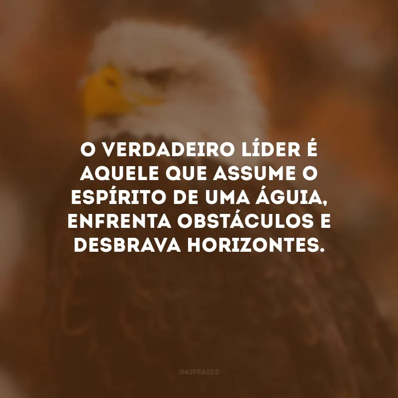 O verdadeiro líder é aquele que assume o espírito de uma águia, enfrenta obstáculos e desbrava horizontes.