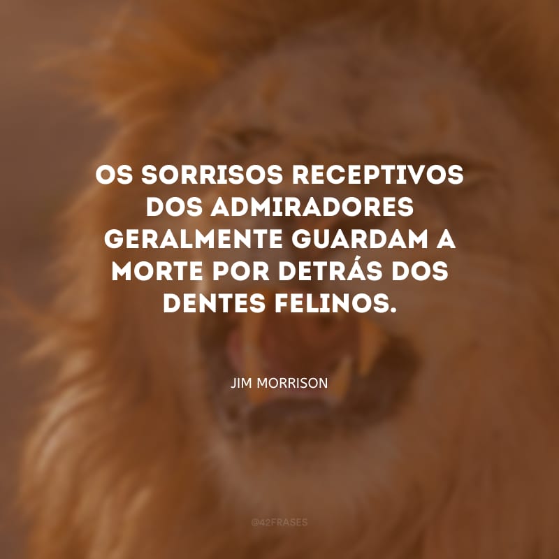 Os sorrisos receptivos dos admiradores geralmente guardam a morte por detrás dos dentes felinos.